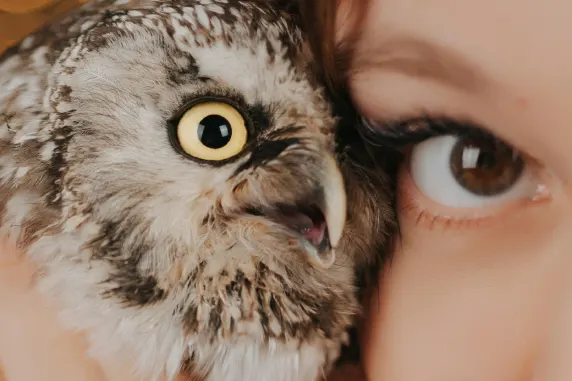 VegasWild Kazino Pagalba